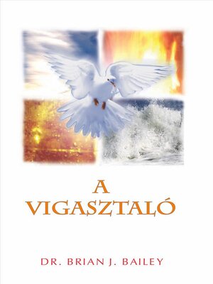 cover image of A Vigasztaló